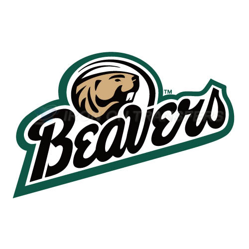 Bemidji State Beavers 2004 Pres Logo T-shirts Iron On Transfers - Click Image to Close